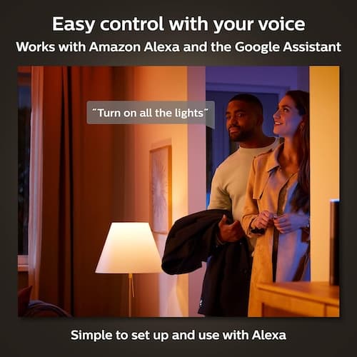 Philips Hue Voice