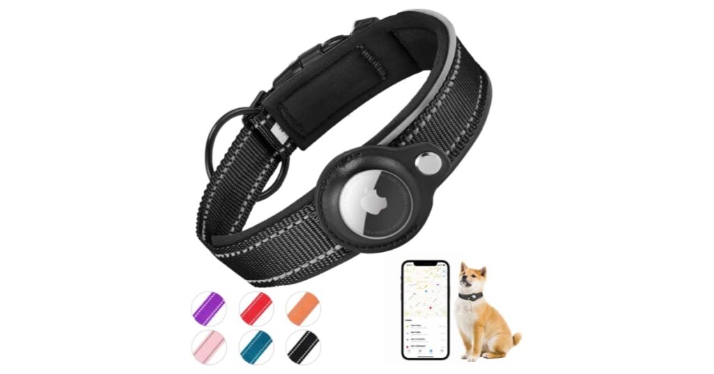 Kardition Padded Dog Collar